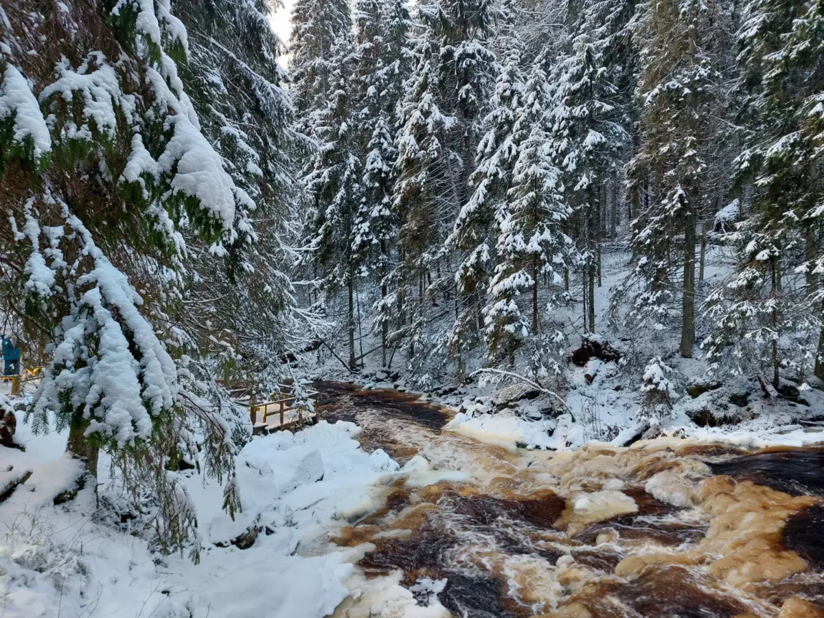 Изображение временно не доступно